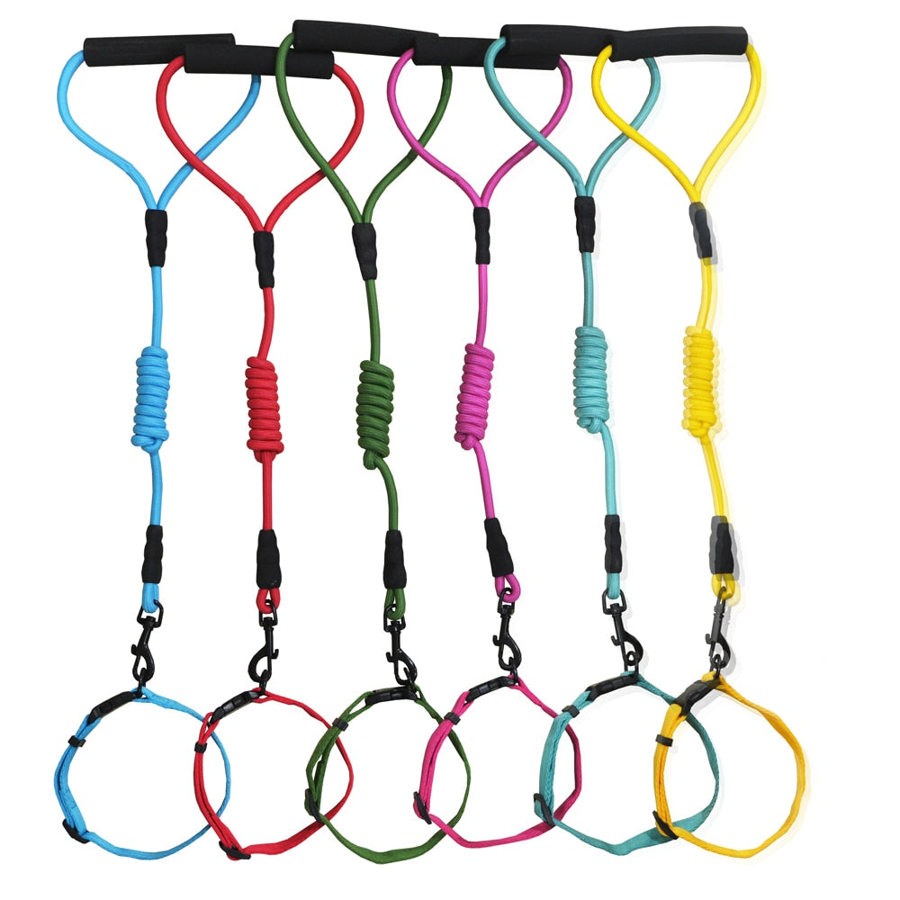 Colorful Polyeste Dog Collar