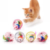 Cat Interactive Toy Stick Feather