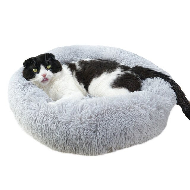 Calming Comfy Dog Bed